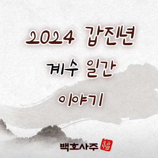  2024 갑진년 계수 일간, 운세 이야기!