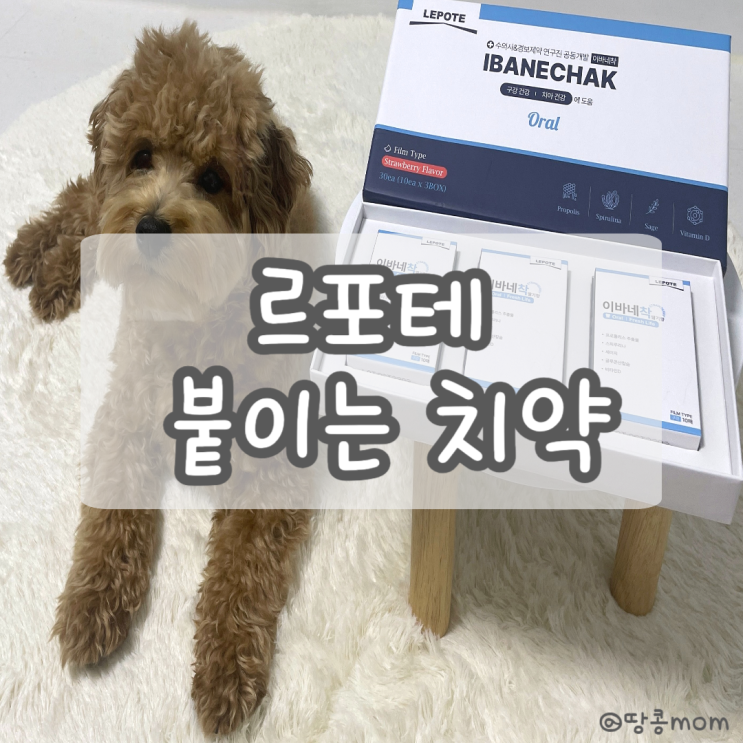  강아지 입냄새 : 르포테 붙이는 치약이면 걱정 끝 입 냄새 및 치석 제거에 도움 주는 2초면 자동으로 양치 후기