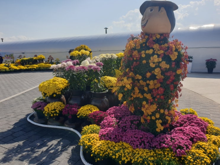  충남 홍성 친정 나들이. 남당리 대하, 국화 축제. 시골밥상