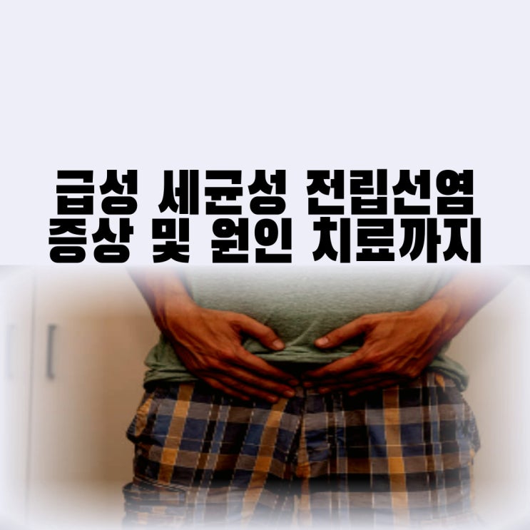  세균성 전립선염 원인 급성 전립선염 원인 및 증상 통증 약 치료까지