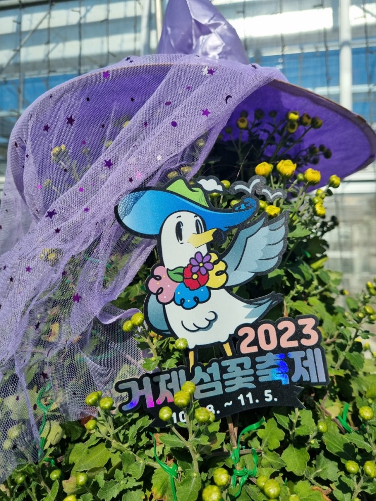  거제 17회 섬꽃축제 후기, 축제기간, 가는방법, 가을나들이축제
