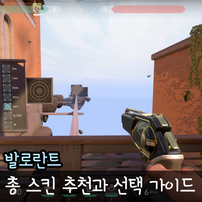  발로란트 총 스킨과 선택