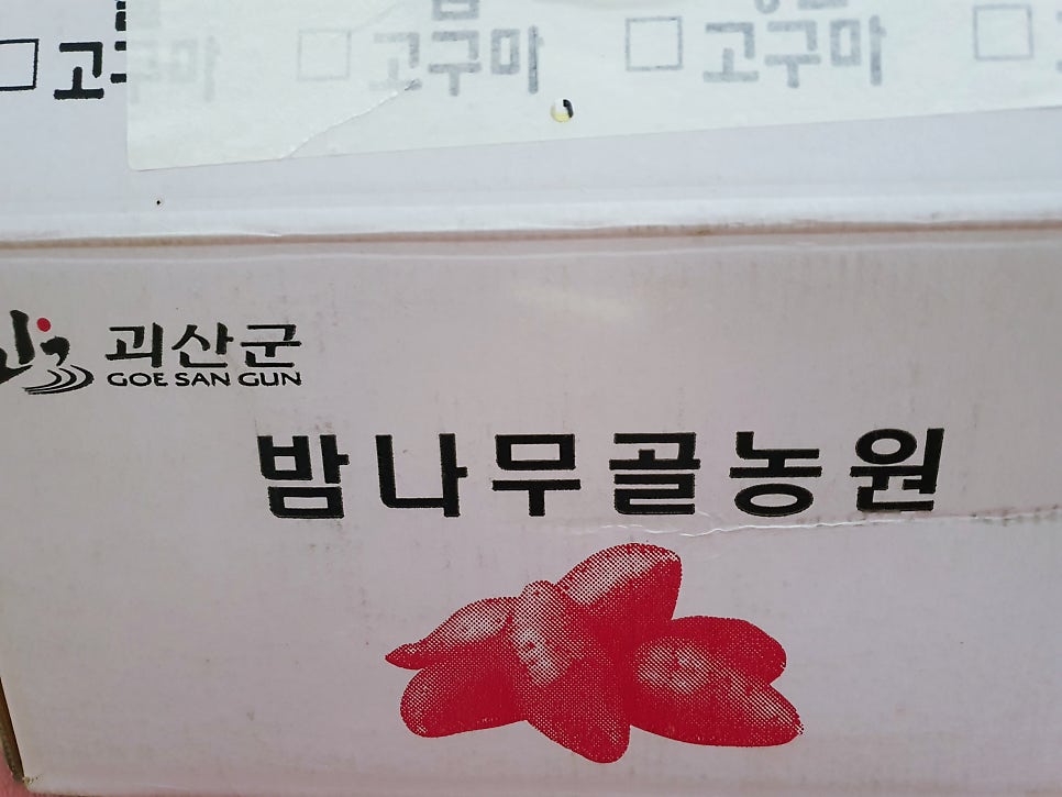 밤나무골 사진 1