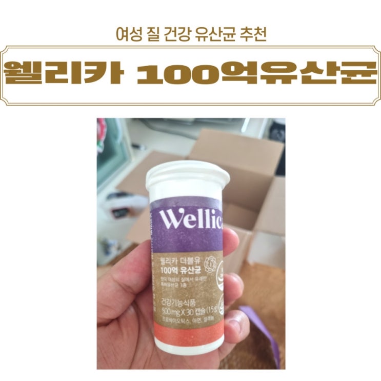  100억 유산균 여성 질 건강 유산균 추천