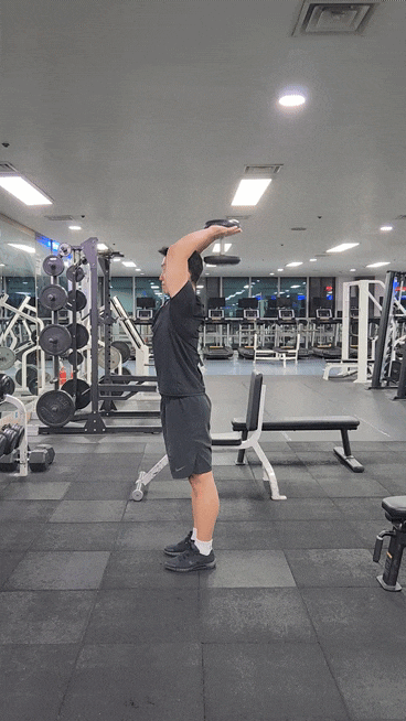  헬스장 삼두운동 덤벨 오버헤드 트라이셉스 익스텐션 방법 및 효과