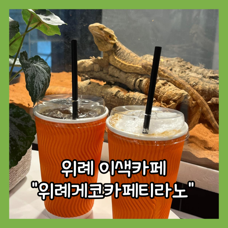  [위례] 파충류 구경과 분양 가능한 이색카페 "위례게코카페티라노" 내돈내산