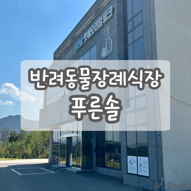  광주&전남 반려동물장례식장 푸른솔 광양 여수 순천 근처 강아지 고양이 납골당