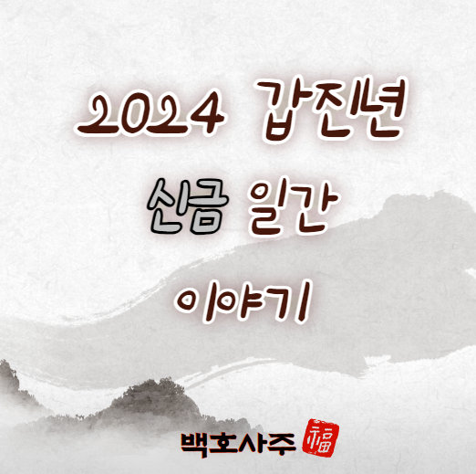  2024 갑진년 신금 일간, 운세 이야기!