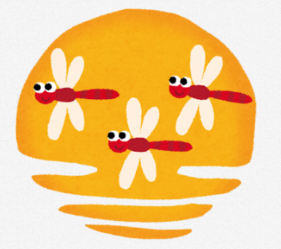 잠자리에 대한 꿈해몽 모음