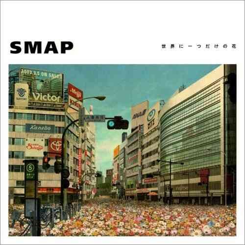  [J-pop 공부] SMAP - 世界に一つだけの花(세상에 하나뿐인 꽃) [가사/발음/번역]