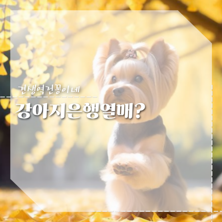  강아지은행, 먹으면 안되는 음식 이유