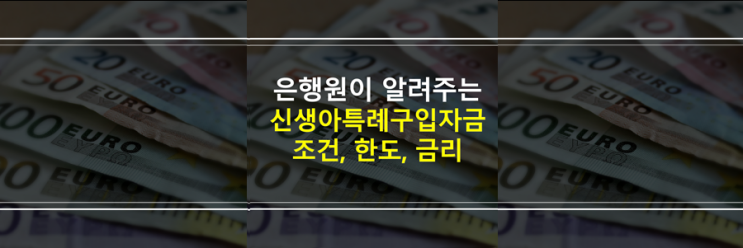  신생아특례구입자금대출 신청 자격, 연봉, 금리, 대출한도 조건
