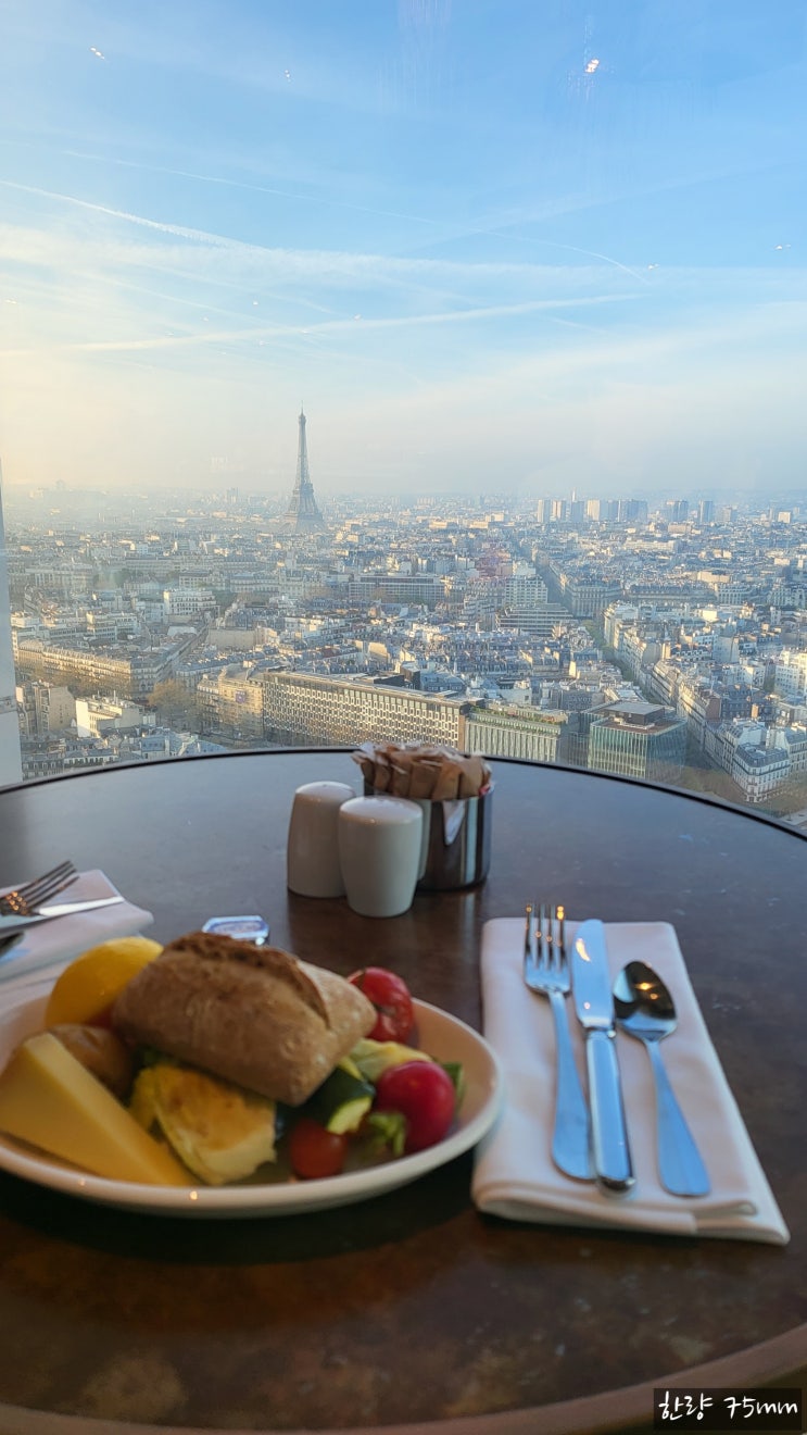  [파리(Paris) 호텔 리뷰 2] 하얏트 리젠시 파리 에투알(Hyatt Regency Paris Étoile) 후기(17구)