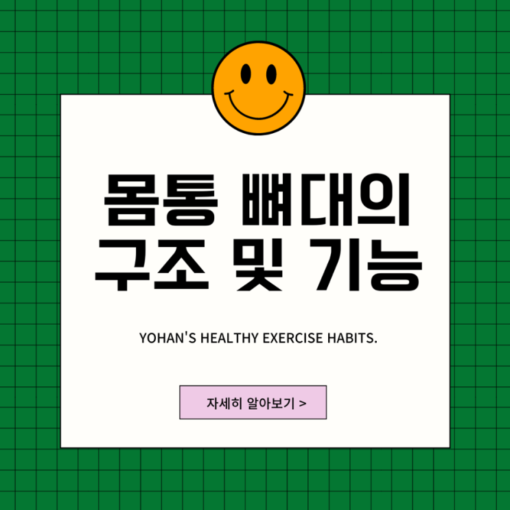  몸통 뼈대의 구조와 기능 알아보자