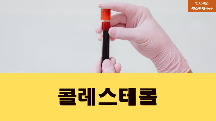  콜레스테롤 높은 이유, 정상수치 | 콜레스테롤 낮추는 음식