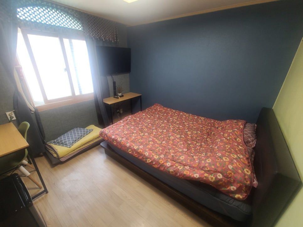 렉스텔 사진 5
