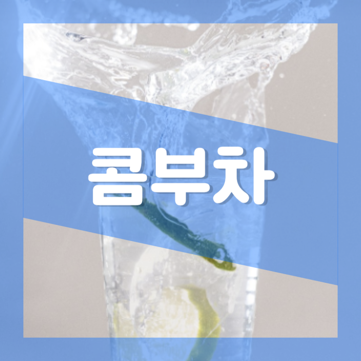  콤부차 효능 부작용 : 다이어트 칼로리 카페인 알코올 영양성분 콤푸차 뜻