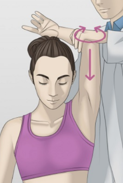 [SLAP 병변 국시 정리]크랭크검사(Crank test), 오브라이언 검사(O'Brien's test), 덜컹 검사(Clunk ...