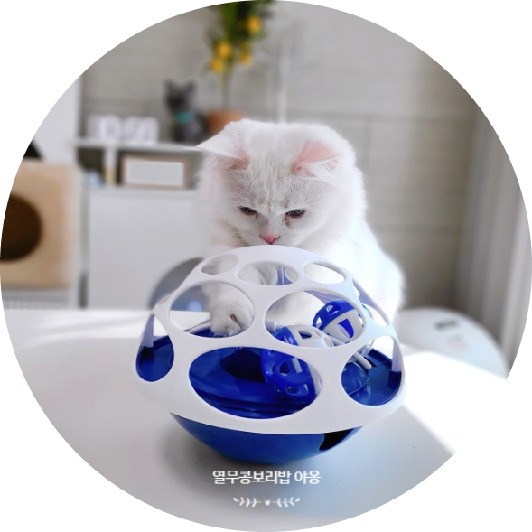 노즈워크로 사용 가능한 네이버펫 펫토리아 고양이 자동장난감