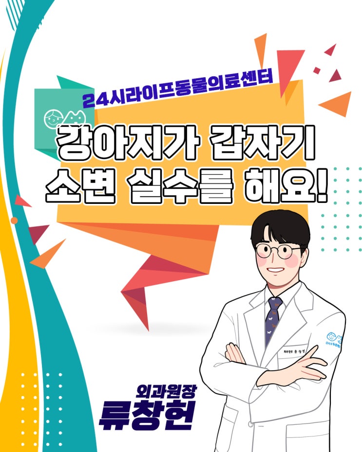 강아지가 갑자기 소변 실수를 해요! : 대구24시동물병원