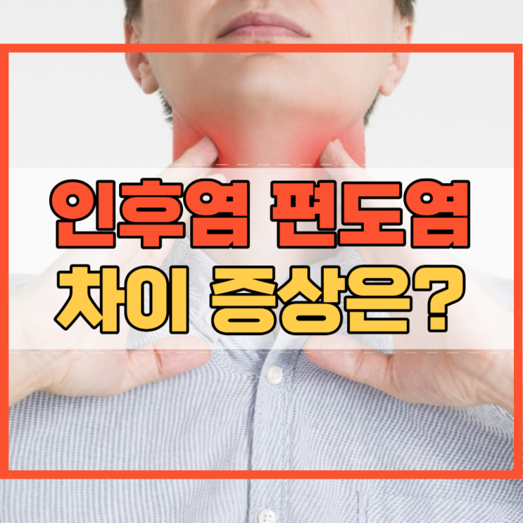  인후염 편도염 차이 증상 치료 예방 방법은 어떻게 다를까요?