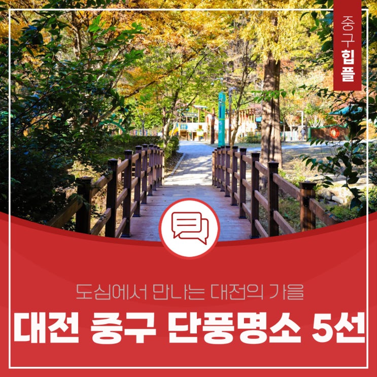  대전 중구, 가을을 걷다. 중구 단풍명소 5선