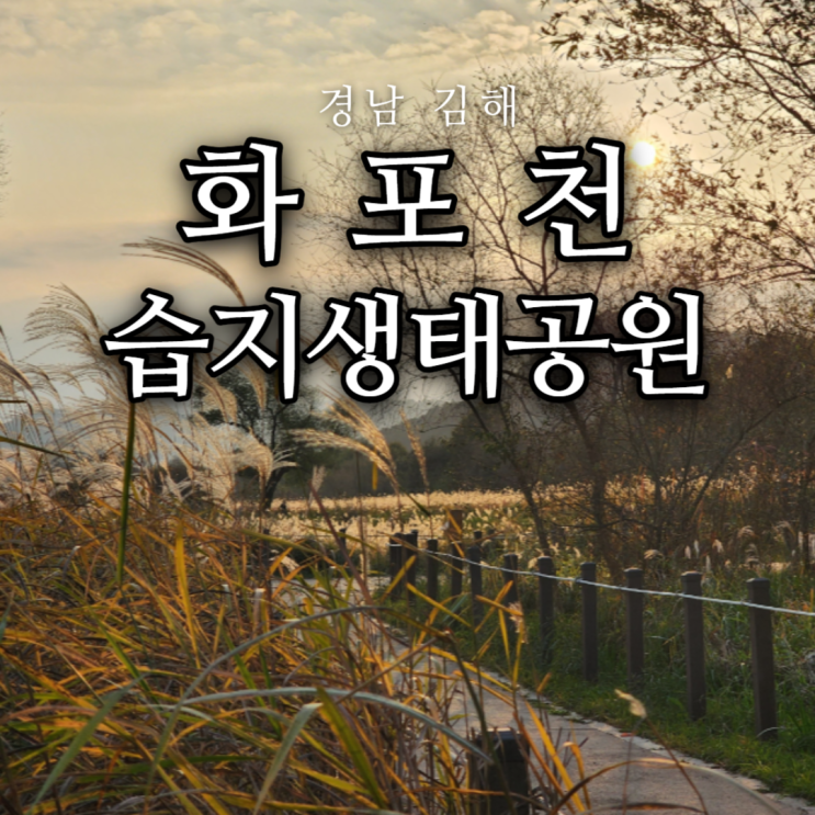  김해 가을여행 화포천습지 생태공원에서 억새, 노을, 철새 만나기