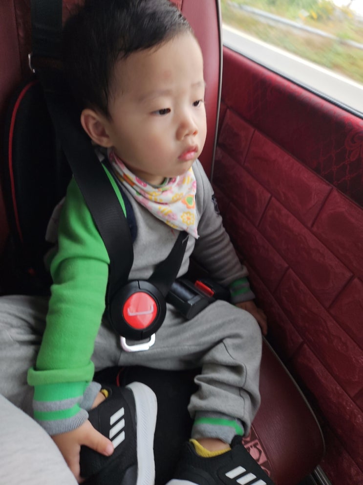  [파주/파평] 율곡습지공원에 나들이다녀온곳 찐 가을풍경 굿