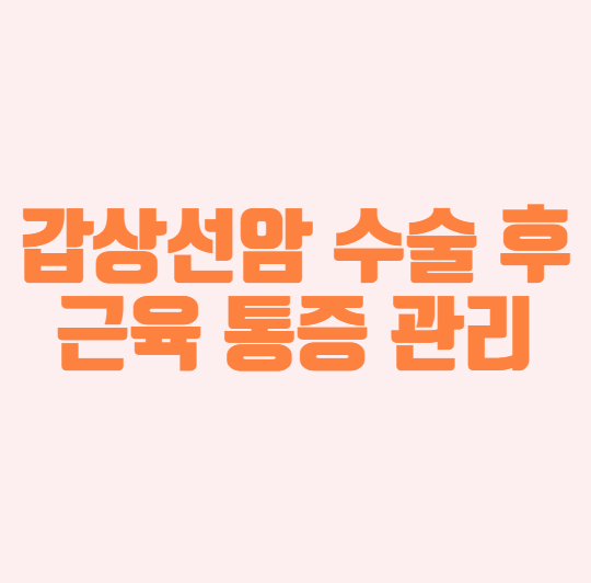 갑상선암 수술후 근육 유착 통증관리 물리치료 후기