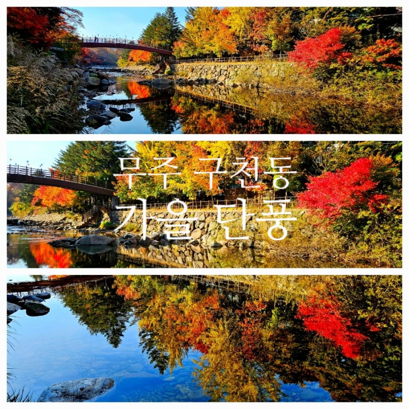 전북 단풍산 덕유산 무주 구천동 단풍 시기와 절정을 보며 시상에 잠기다