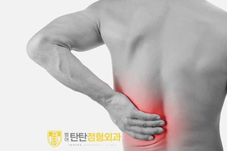  수성구 허리디스크 딱 하나만 조심하세요.