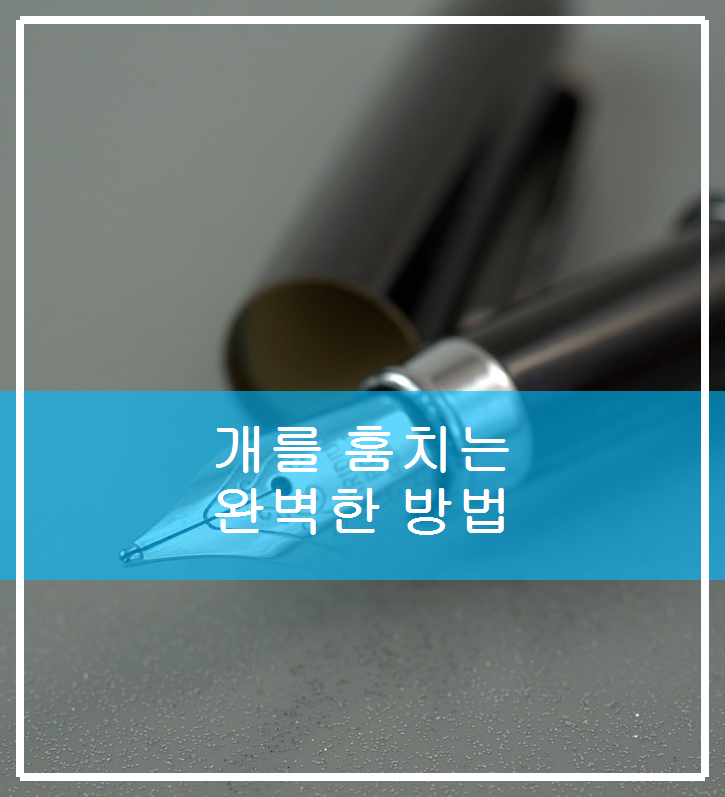 개를 훔치는 완벽한 방법 시사회에서 벌어지는