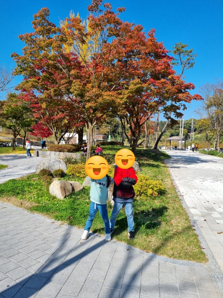  식장산 세천공원 단풍 시즌 시작