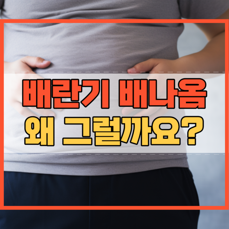  배란기 배나옴 왜 그럴까요?