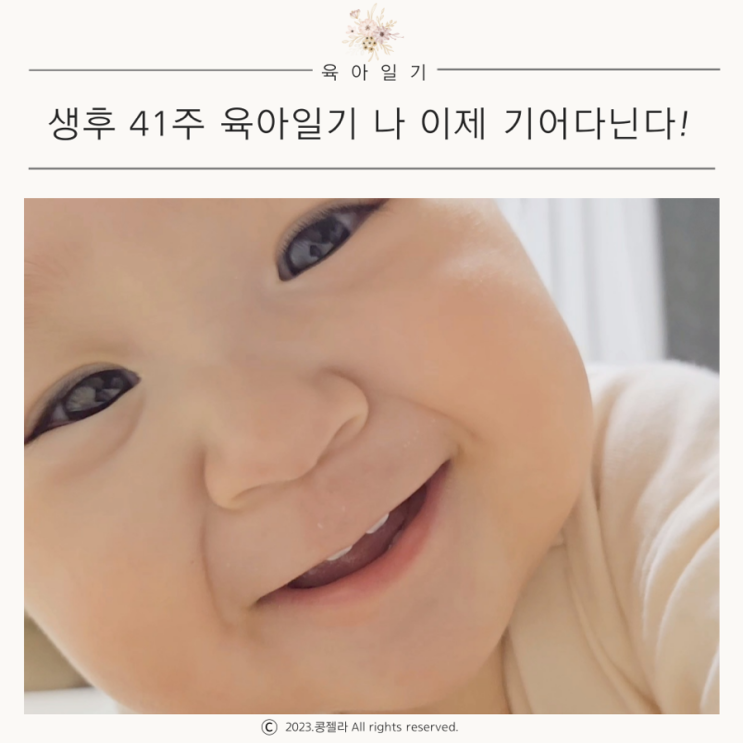 41주 육아일기 9개월 아기 기기 성공, 양떼목장, 달콤부녀