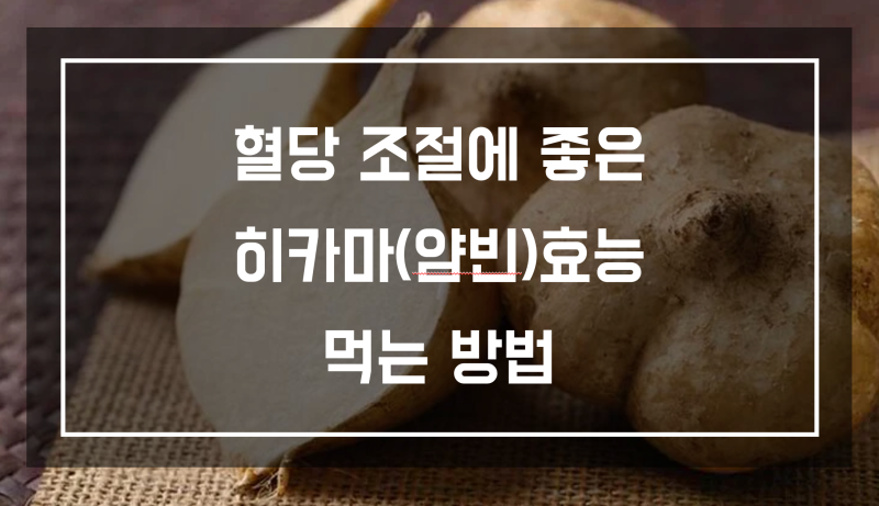 히카마효능 혈당수치 조절에 좋은 히카마먹는법