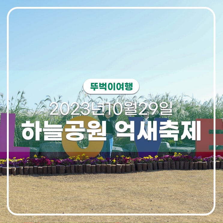  2023년 상암 하늘공원 억새축제 11월초까지 절정이에요,  맹꽁이열차 탑승팁