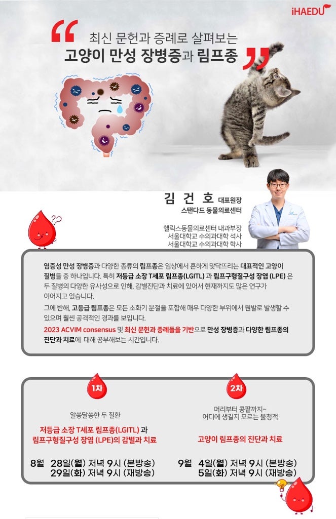  [학술/대외활동] 김건호 내과 원장, 고양이 만성 장병증 (IBD)과 림프종 (Lymphoma) 강의 - 24시 스탠다드동물의료센터