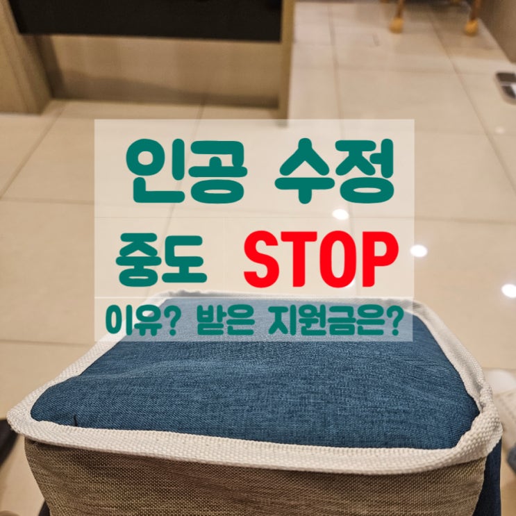  인공수정 2차 결국 중도 하차ㅠㅠ 그 동안 정부지원금은 어떻게 될까요
