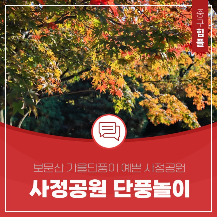  보문산 가을단풍 예쁜 사정공원으로 떠나는 단풍놀이