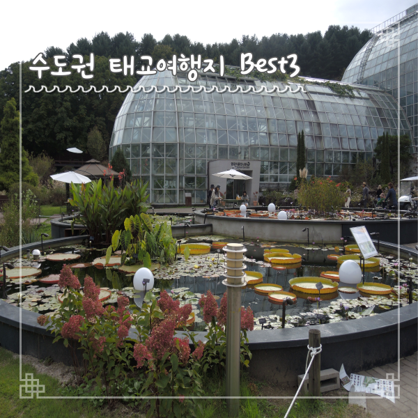  수도권 태교여행지 Best3 직접 가본 곳으로 추천