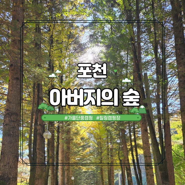  가을 단풍캠핑 힐링 포천 아버지의숲 산정캠프 부엉이둥지 후기!