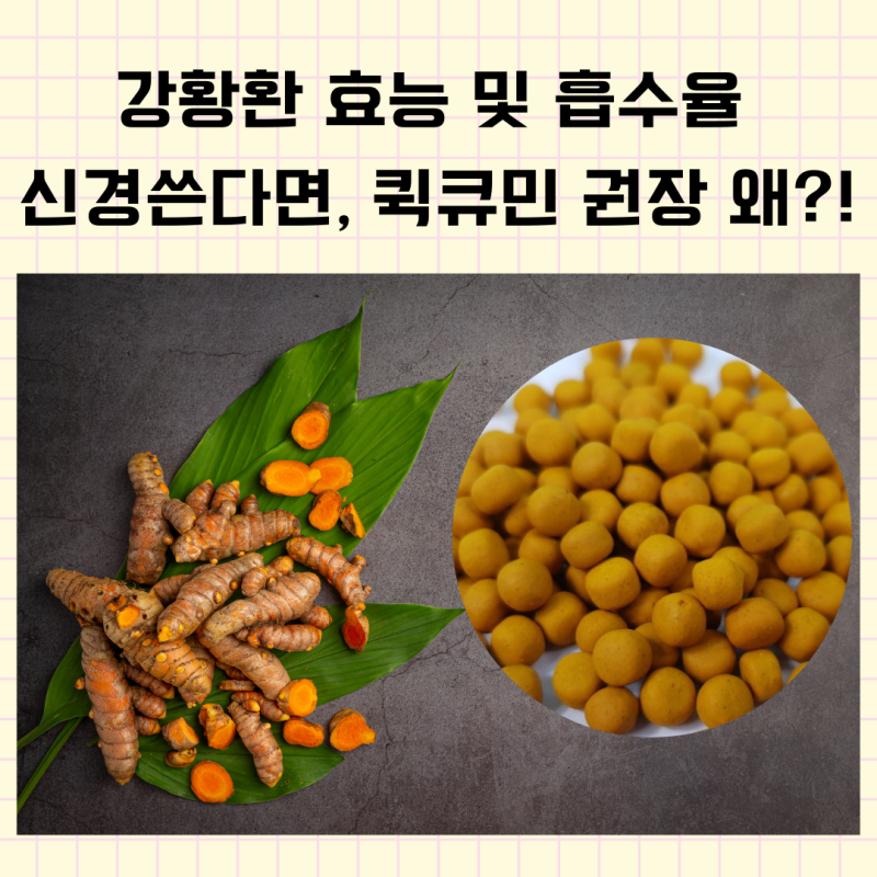 심황의 효능과 흡수를 증가시키는 방법은 무엇입니까?