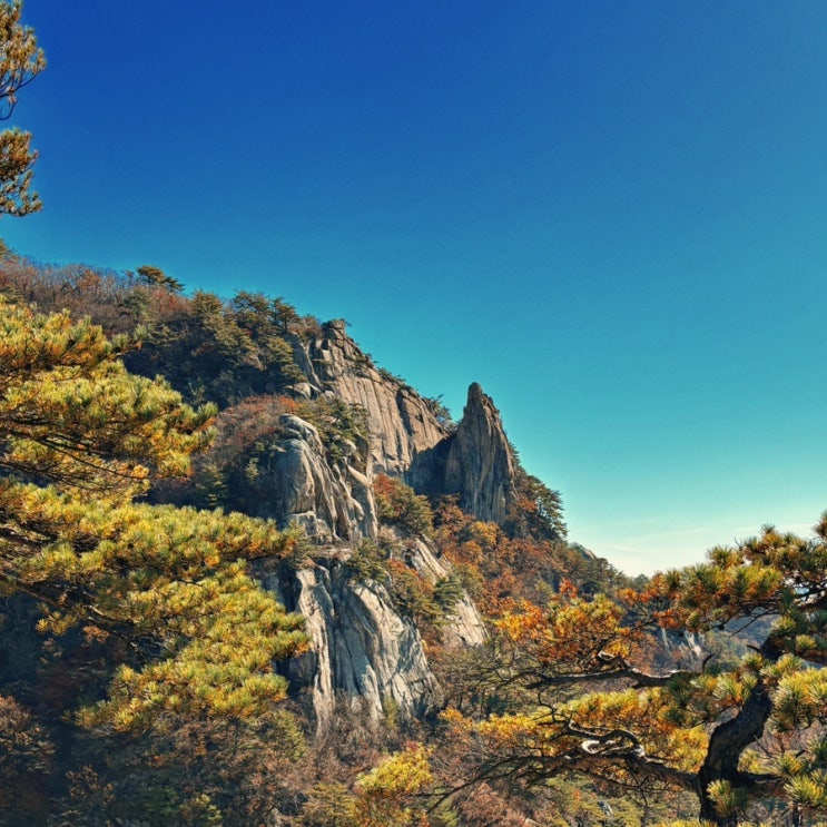  춘천 용화산 등산, 등린이 최단 코스 큰고개 출발 원점회귀 후기(+단풍명소)