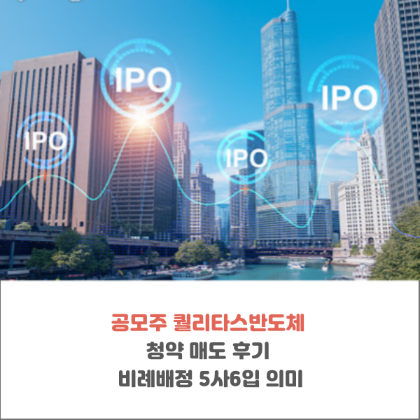  공모주 퀄리타스반도체 청약 매도 후기 5사6입 의미