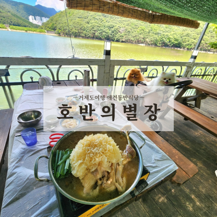  거제도 애견동반식당 저수지뷰맛집 닭백숙 몸보신 하고 온 호반의별장 내돈내산 후기