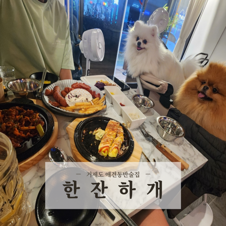  거제도여행  장승포 애견동반술집 안주 대존맛 분위기 좋은 한잔하개 내돈내산 후기
