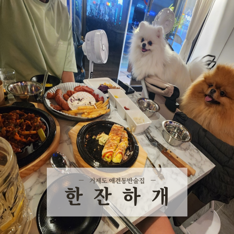 사진 4