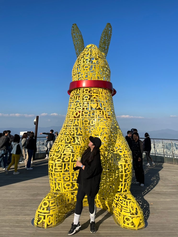 1023-1029 / 앞산 거북이 1023-1029 / 앞산 거북이