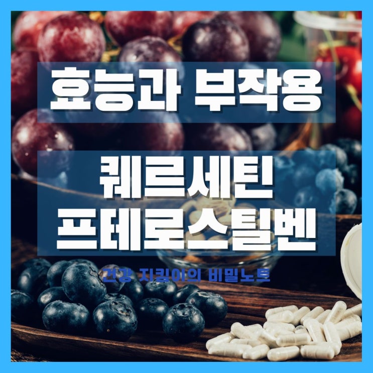 퀘르세틴 프테로스틸벤 효능 부작용